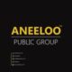 Aneeloo public group