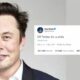 Elon TW News