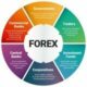 Forex Market Management