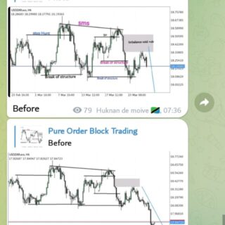 Pure Order Block Trading