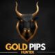 Gold Pips Hunter