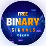 Perfect Binary Signal