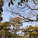 Bitcoin Premium signals