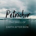 Petrichor’💝 - Telegram Channel