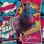 Pigeon’s channel - Telegram Channel