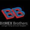BitMex Brothers