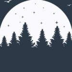 STL Forest 🌲 - Telegram Channel