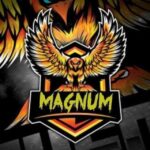 MAGNUM ACCOUNTS HUB™ ❤️🇮🇳 - Telegram Channel