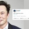 Elon TW News