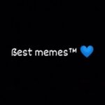 ßest Memes™ 💙 - Telegram Channel