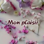 Mon Plaisir - Telegram Channel