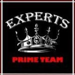 Experts Prime Team