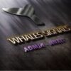 Whales Signals