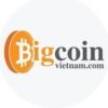 Bigcoin Vietnam News