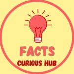 Facts – Curious Hub - Telegram Channel
