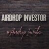 Airdrop investor