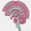 Neuroscience and Psychology - Telegram Channel