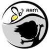 ArmToken - Telegram Channel