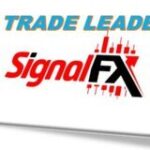 Trade leader - Telegram Channel