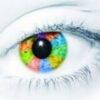 Basic Ophthalmology Books - Telegram Channel