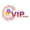 Vip Signal ™ - Telegram Channel