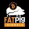 Fat Pig Signals - Telegram Channel