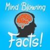 Mind Blowing Facts - Telegram Channel