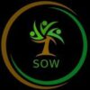 Seed of World (SOW) Official Channel - Telegram Channel