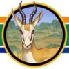 South Africa Reports - Telegram Channel