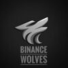 BINANCE WOLVES - Telegram Channel