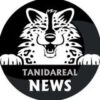 TaniDaReal – Art & News Channel