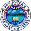Hawassa University Information Center